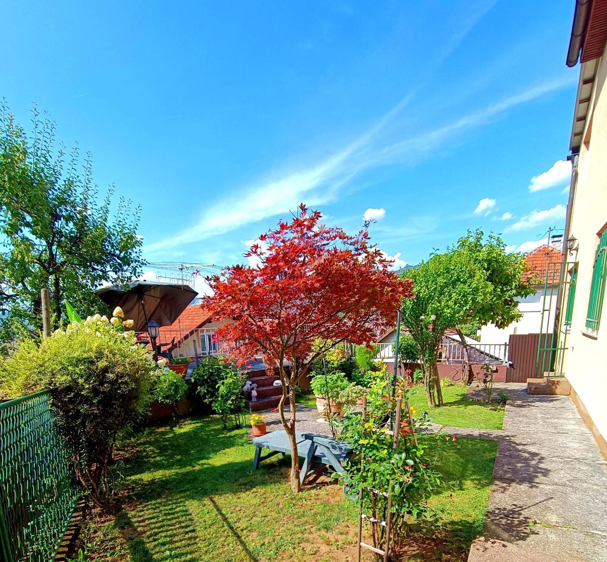 Ferienwohnung Garden Free Parking SJJ Zimmer foto
